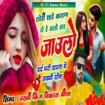 Chori Thare Karn Ye Re Mato Mar Jaulo