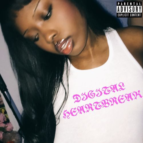 Sex Zone cover art