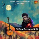 Dil Tera Deewana Nahi