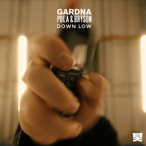 Down Low_poster_image