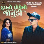 Dudh No Dhovelo Tane Nahi Jade Janudi