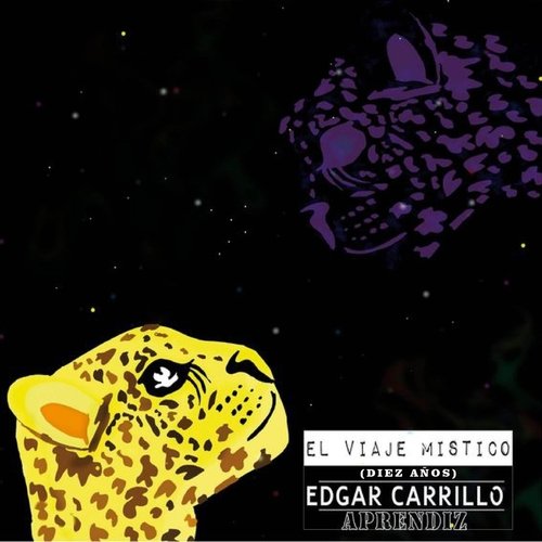 Murciélago Bajo la Luna (feat. Aldo Obregón) cover art