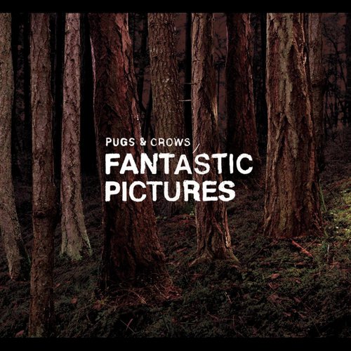 Fantastic Pictures_poster_image