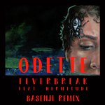 Feverbreak (Basenji Remix)
