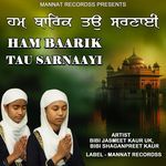 Ham Baarik Tau Sarnaayi