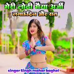 Meri lodhi Maiya arji lagaun din aur Raat
