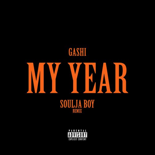 My Year REMIX