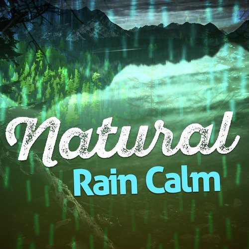 Natural Rain Calm