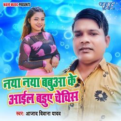 Naya Naya Babua Ke Aail Badue Chechis