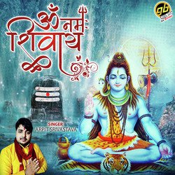 Om Namah Shivay-NDg6CUZmREY