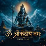 Om Shrikanthay Namah artwork