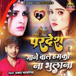 Pardesh Jaane Wale Hamko Na Bhulana
