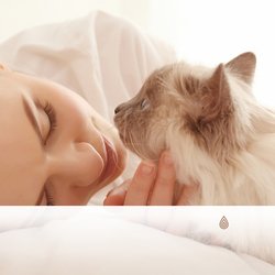 Respiration Inoubliable du Vent