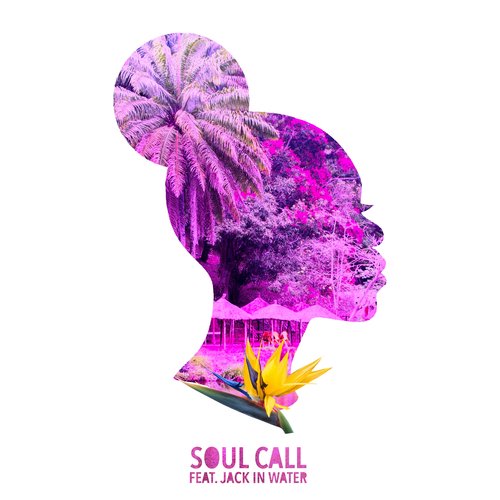 Soul Call_poster_image