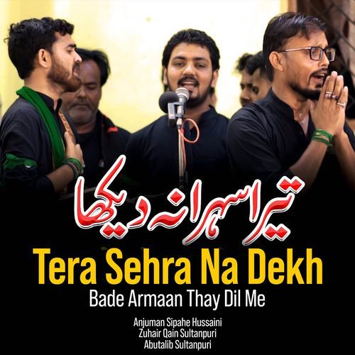 Tera Sehra Na Dekh (Bade Armaan Thay Dil Me)