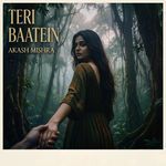 Teri Baatein