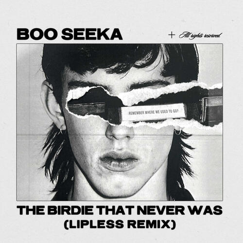 The Birdie That Never Was (Lipless Remix)_poster_image