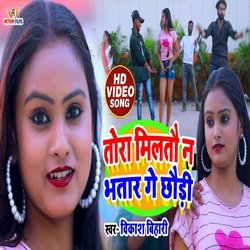 Tora Milato Na  Bhatar Ge Chhaudi (Bhojpuri Song)-ETIJSE1iY3k