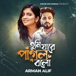 Tumi Jare Pagol Bolo