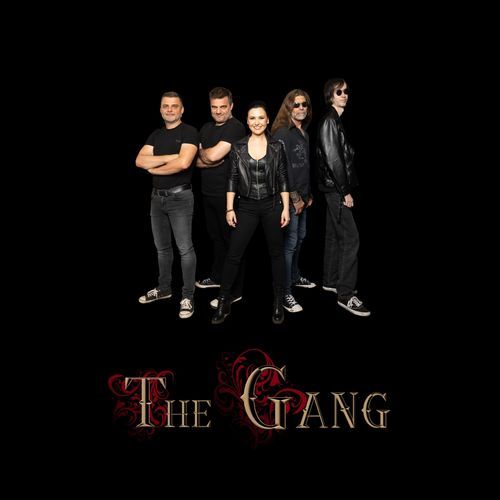 We Are the Gang