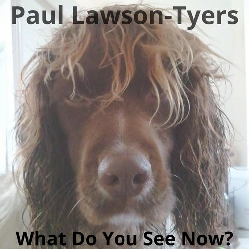 Dylan cover art