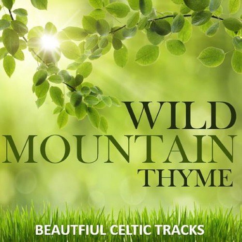 Wild Mountain Thyme: Beautfiul Celtic Tracks