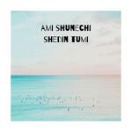 ami shunechi shedin tumi