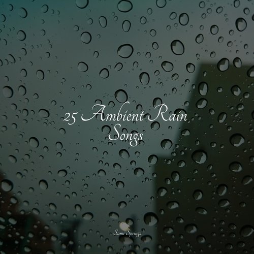 25 Ambient Rain Songs_poster_image