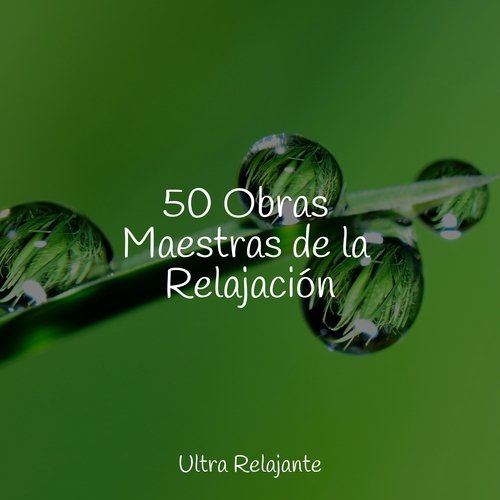 50 Obras Maestras de la Relajación