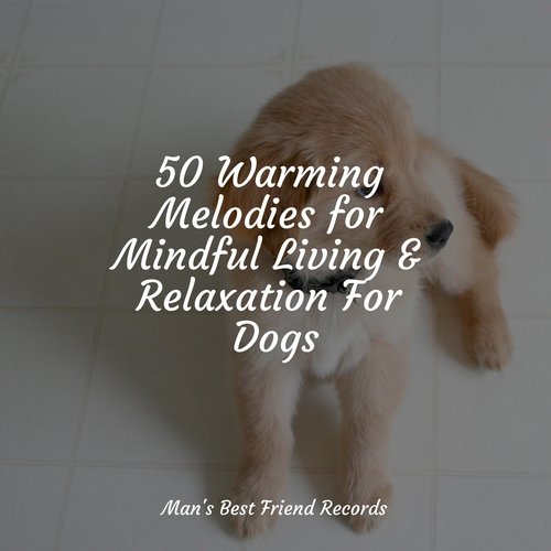 50 Warming Melodies for Mindful Living & Relaxation For Dogs