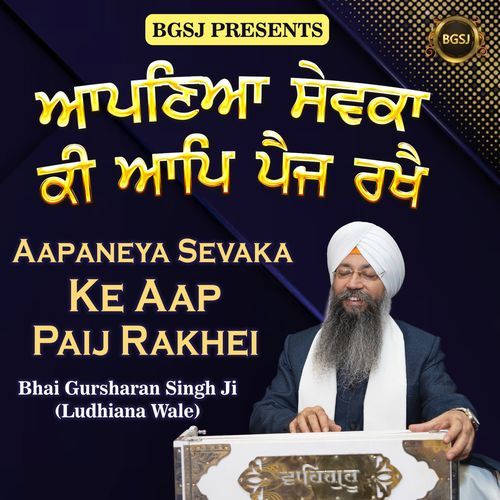 Aapaneya Sevaka Ke Aap Paij Rakhei