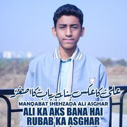 Ali Ka Aks Bana Hai Rubab Ka Asghar | Manqabat Shehzada Ali Asghar