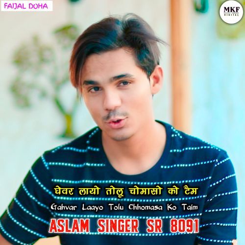 Aslam Singer SR 8091
