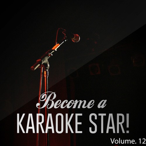 Become a Karaoke Star, Vol. 12_poster_image