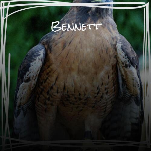 Bennett cover art