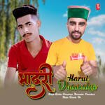 Bhadri Harul Dhamaka