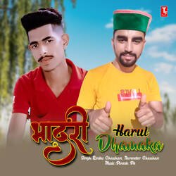 Bhadri Harul Dhamaka-BDsDVg1vcH8