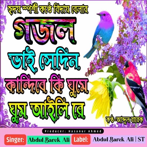 Bhai Sedin Kandibe Ki Ghume Ghumalire