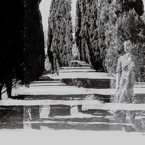 Caly cover art