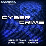 Cyber Crime