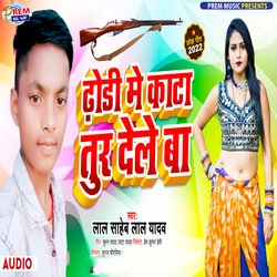 Dhodi Me Kata Tur Dele Ba (Bhojpuri)