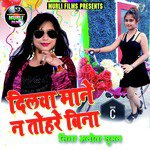 Dilawa Mane Na Tohre Bina