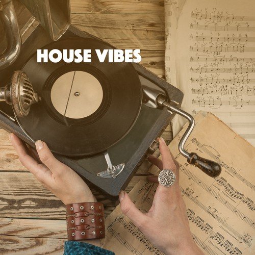 House vibe. Вайб Хаус. House Music Vibe. Renraku Vibe House. Прослушивания песни House Vibes.