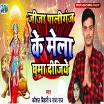 Jija Paliganj Ke Mela Ghuma Dijiye