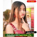 Mohabbat Dil Pagal Rahe Che