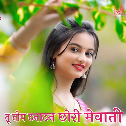 तू तोप टनाटन छोरी मेवाती