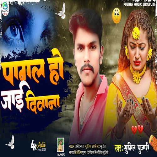 Pagal Ho Jayi Deewana