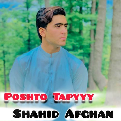 Pashto Tapyyy