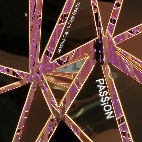 Passion Ambient Edit cover art