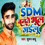 SDM Bante Bhul Gailu